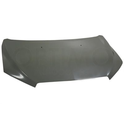 Cofre (Sedan / hatchback) (Color / gris)