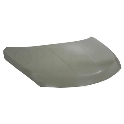 Cofre (Sedan / hatchback) (Color / gris)