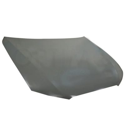 Metal hood (Color / gris)