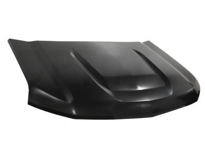 Metal hood (Color / negro)