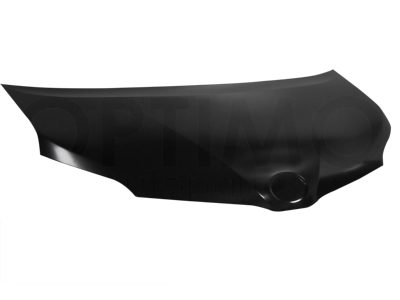 Hood (Color / negro)