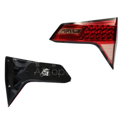 Calavera derecho interior con soquet (Rojo / blanco / rosa)