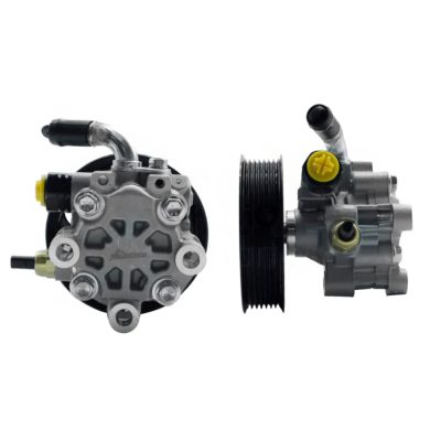 Hydraulic power steering pump without reservoir with pulley