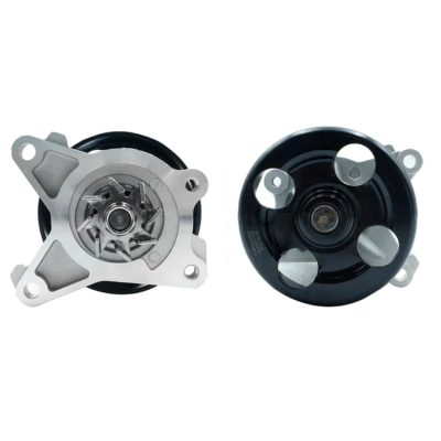 Water pump with pulley MR18DE / MR20DE (Sentra B-16 2.0L 2007-2012)