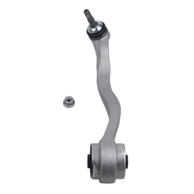 Rearward left lower arm