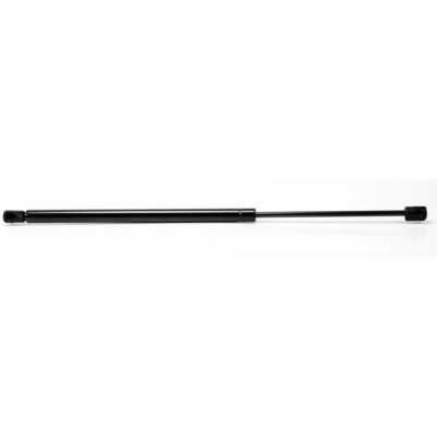 Trunk lid support strut